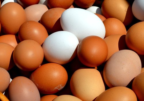 huevos_cubeta_4